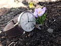Нажмите на изображение для увеличения
Название: DSCF0066.JPG
Просмотров: 1774
Размер:	409.9 Кб
ID:	636210