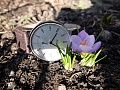 Нажмите на изображение для увеличения
Название: DSCF0075.JPG
Просмотров: 1765
Размер:	502.0 Кб
ID:	636213