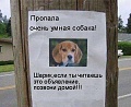 Нажмите на изображение для увеличения
Название: 1621704_597397487006170_1374929884_n.jpg
Просмотров: 439
Размер:	40.7 Кб
ID:	637263
