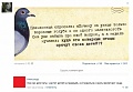 Нажмите на изображение для увеличения
Название: 6355fba6167dcb9338f4580a83c_prev.jpg
Просмотров: 451
Размер:	29.9 Кб
ID:	646355
