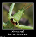 Нажмите на изображение для увеличения
Название: 15.jpg
Просмотров: 549
Размер:	33.3 Кб
ID:	651718