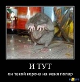 Нажмите на изображение для увеличения
Название: 16.jpg
Просмотров: 547
Размер:	31.9 Кб
ID:	651719