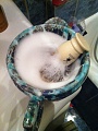 Нажмите на изображение для увеличения
Название: IMG_0822.jpg
Просмотров: 815
Размер:	473.1 Кб
ID:	656595