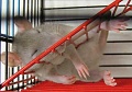 Нажмите на изображение для увеличения
Название: x_c04ab00d.jpg
Просмотров: 360
Размер:	37.6 Кб
ID:	658415