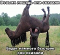 Нажмите на изображение для увеличения
Название: 2QJRZqUW854.jpg
Просмотров: 522
Размер:	104.0 Кб
ID:	661862
