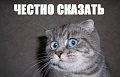 Нажмите на изображение для увеличения
Название: кот.jpg
Просмотров: 241
Размер:	22.6 Кб
ID:	674691