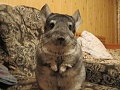 Нажмите на изображение для увеличения
Название: IMG_0052.jpg
Просмотров: 231
Размер:	347.8 Кб
ID:	679090