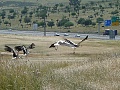 Нажмите на изображение для увеличения
Название: P1040041.jpg
Просмотров: 42
Размер:	585.3 Кб
ID:	689415