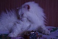 Нажмите на изображение для увеличения
Название: IMGP3285.jpg
Просмотров: 253
Размер:	219.1 Кб
ID:	693116