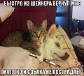 Нажмите на изображение для увеличения
Название: fDI0zwJ171g.jpg
Просмотров: 392
Размер:	75.3 Кб
ID:	701984