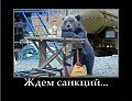 Нажмите на изображение для увеличения
Название: 6l4al7qc1vpf.jpg
Просмотров: 438
Размер:	85.1 Кб
ID:	705556