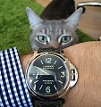 Нажмите на изображение для увеличения
Название: IMG_3634.JPG
Просмотров: 744
Размер:	1.01 Мб
ID:	718061