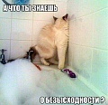 Нажмите на изображение для увеличения
Название: 04.jpg
Просмотров: 545
Размер:	76.6 Кб
ID:	729614