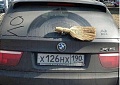Нажмите на изображение для увеличения
Название: pic989bde12679f.jpg
Просмотров: 471
Размер:	55.7 Кб
ID:	737498