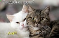 Нажмите на изображение для увеличения
Название: pice92e700b16a4.jpg
Просмотров: 476
Размер:	57.5 Кб
ID:	737500