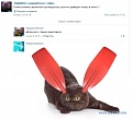 Нажмите на изображение для увеличения
Название: 3564855.jpg
Просмотров: 434
Размер:	48.7 Кб
ID:	751528