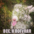 Нажмите на изображение для увеличения
Название: 1404698197_001-6.jpg
Просмотров: 389
Размер:	102.8 Кб
ID:	751529