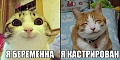 Нажмите на изображение для увеличения
Название: 1406171158_1-98.jpg
Просмотров: 350
Размер:	178.1 Кб
ID:	757770