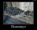 Нажмите на изображение для увеличения
Название: 2240943633.jpg
Просмотров: 413
Размер:	78.7 Кб
ID:	758882