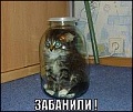 Нажмите на изображение для увеличения
Название: 866280.thumb.jpg
Просмотров: 391
Размер:	9.0 Кб
ID:	765520