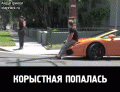 Нажмите на изображение для увеличения
Название: AP75eLbC2.gif
Просмотров: 498
Размер:	3.76 Мб
ID:	770236