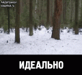 Нажмите на изображение для увеличения
Название: iat26bVC2.gif
Просмотров: 502
Размер:	2.11 Мб
ID:	770237