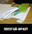 Нажмите на изображение для увеличения
Название: u90innHC2.gif
Просмотров: 439
Размер:	1.54 Мб
ID:	770240