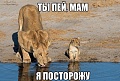 Нажмите на изображение для увеличения
Название: Osj24BlC2.jpg
Просмотров: 504
Размер:	94.3 Кб
ID:	771071