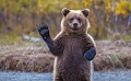 Нажмите на изображение для увеличения
Название: image.jpg
Просмотров: 338
Размер:	132.6 Кб
ID:	779422