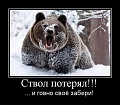 Нажмите на изображение для увеличения
Название: image-uni-49628-259529312.jpg
Просмотров: 369
Размер:	84.7 Кб
ID:	779424