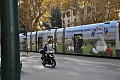 Нажмите на изображение для увеличения
Название: Рим 2010 532.jpg
Просмотров: 140
Размер:	472.1 Кб
ID:	78344