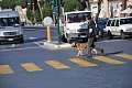 Нажмите на изображение для увеличения
Название: Рим 2010 224.jpg
Просмотров: 131
Размер:	391.3 Кб
ID:	79082