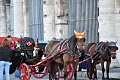 Нажмите на изображение для увеличения
Название: Рим 2010 110.jpg
Просмотров: 117
Размер:	368.0 Кб
ID:	79083