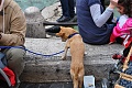 Нажмите на изображение для увеличения
Название: Рим полная версия 265.jpg
Просмотров: 138
Размер:	472.0 Кб
ID:	79111