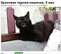 Нажмите на изображение для увеличения
Название: 3912095.jpg
Просмотров: 414
Размер:	52.2 Кб
ID:	798257