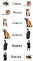 Нажмите на изображение для увеличения
Название: -0oXawec5QU.jpg
Просмотров: 378
Размер:	32.5 Кб
ID:	799862