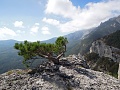 Нажмите на изображение для увеличения
Название: DSCN2640.JPG
Просмотров: 301
Размер:	1.14 Мб
ID:	800912