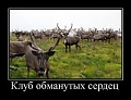 Нажмите на изображение для увеличения
Название: images.jpg
Просмотров: 413
Размер:	9.0 Кб
ID:	803269