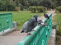 Нажмите на изображение для увеличения
Название: DSCN0946.jpg
Просмотров: 345
Размер:	439.3 Кб
ID:	804110