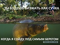 Нажмите на изображение для увеличения
Название: 4005692.jpg
Просмотров: 363
Размер:	97.7 Кб
ID:	807730