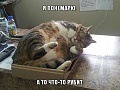 Нажмите на изображение для увеличения
Название: CjOJJI7GO30.jpg
Просмотров: 449
Размер:	61.1 Кб
ID:	814566