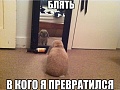 Нажмите на изображение для увеличения
Название: c913a3eb5b093bbd21b001916b96194a.jpg
Просмотров: 493
Размер:	97.0 Кб
ID:	816381