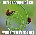 Нажмите на изображение для увеличения
Название: 5e29786c4159c8bded171966e0b9f542.jpg
Просмотров: 448
Размер:	89.1 Кб
ID:	816384