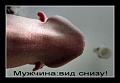 Нажмите на изображение для увеличения
Название: post-11636-1393530131.jpg
Просмотров: 470
Размер:	38.6 Кб
ID:	816387