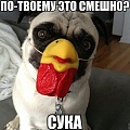 Нажмите на изображение для увеличения
Название: 30b52d2b17f511562c3a3615ce4a0a1e.jpg
Просмотров: 473
Размер:	107.9 Кб
ID:	816388