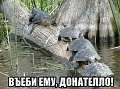 Нажмите на изображение для увеличения
Название: 1c89cf4a662e2d335ad10beb742354ef.jpg
Просмотров: 423
Размер:	118.0 Кб
ID:	817216