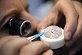 Нажмите на изображение для увеличения
Название: GP_HD_Cat's_Eye_Bloom_Manuf3.jpg
Просмотров: 217
Размер:	66.6 Кб
ID:	817668