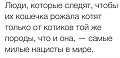 Нажмите на изображение для увеличения
Название: 4091771.jpg
Просмотров: 401
Размер:	32.9 Кб
ID:	821162