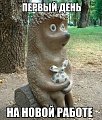 Нажмите на изображение для увеличения
Название: 4069211.jpg
Просмотров: 423
Размер:	97.3 Кб
ID:	821163