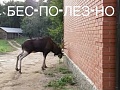 Нажмите на изображение для увеличения
Название: image.jpg
Просмотров: 112
Размер:	22.7 Кб
ID:	823153